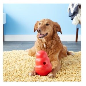 Kong wobbler treat dispenser stimulating dog toy slow feeder